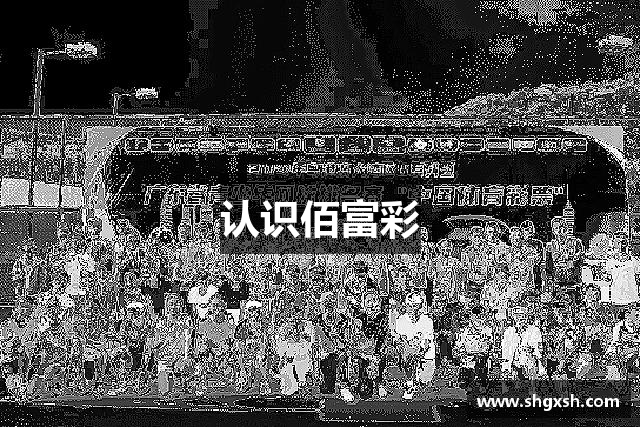 认识佰富彩